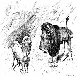 نقاشی سیاه و سفید شیر و گوسفند