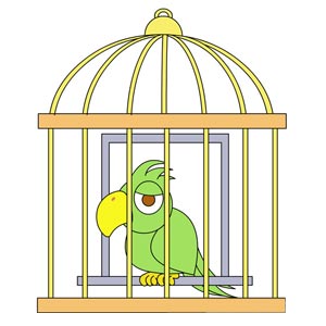 نقاشی طوطی در قفس