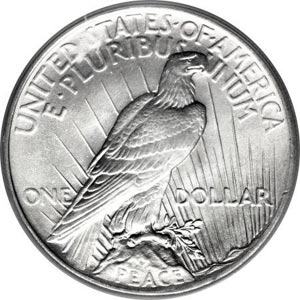 سکه یک دلاری نقره ای آمریکا