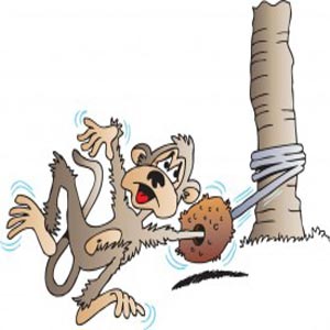 نقاشی میمون با دست مشت کرده داخل سوراخ نارگیل